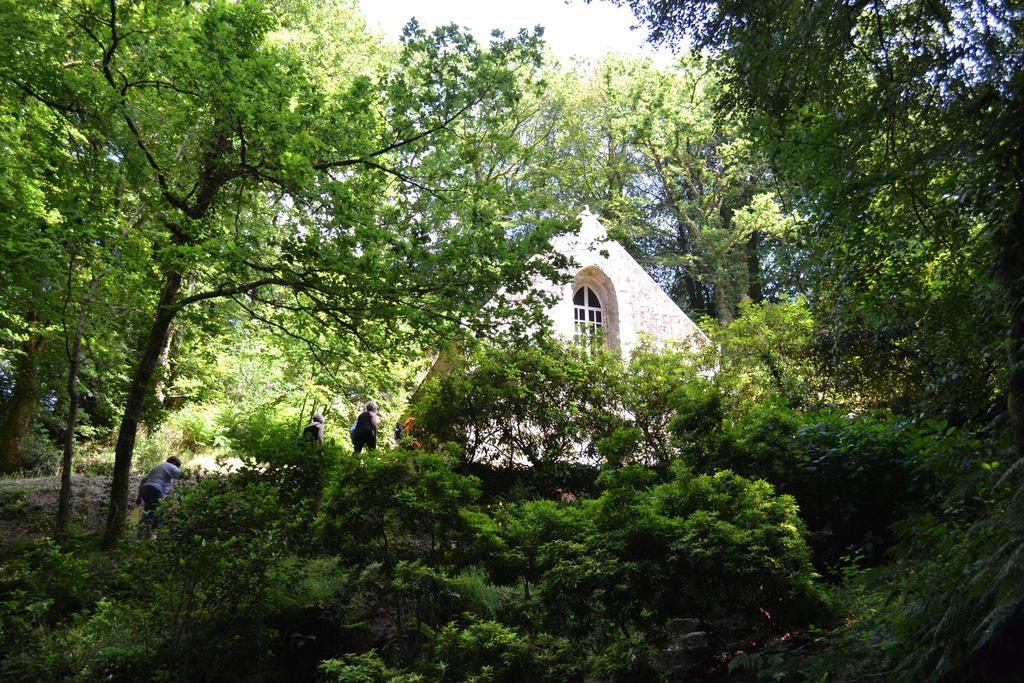 Le Gite De L'Araucaria Ploërdut Exterior foto